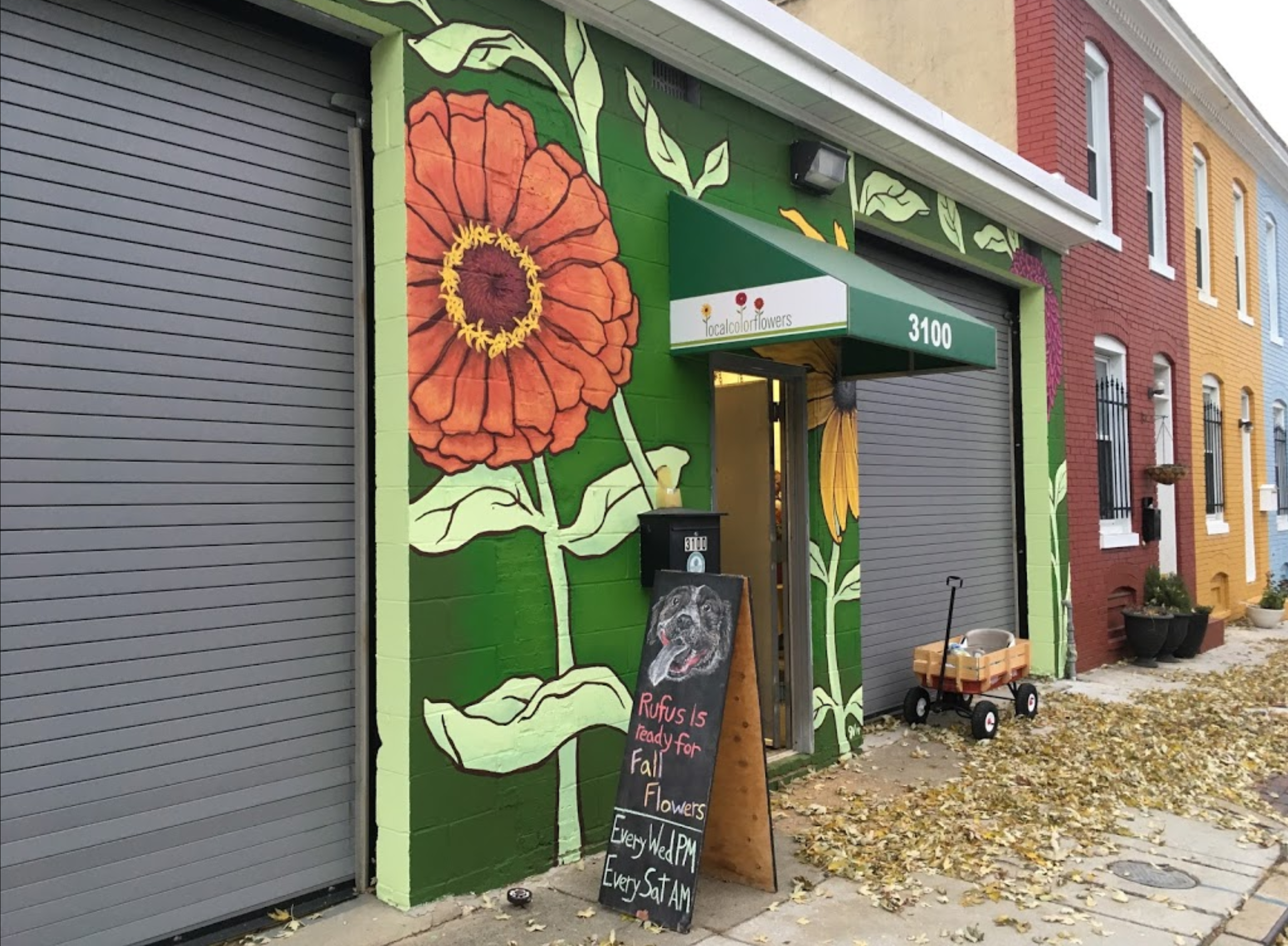 Photo of Local Color Flowers storefront